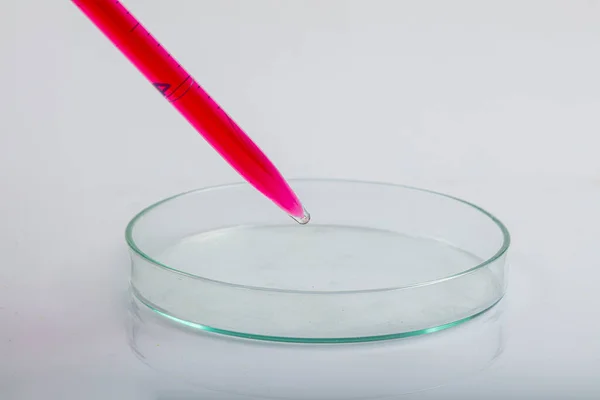 Pipeta Laboratorio Con Gota Líquido Rojo Sobre Placas Petri Con —  Fotos de Stock