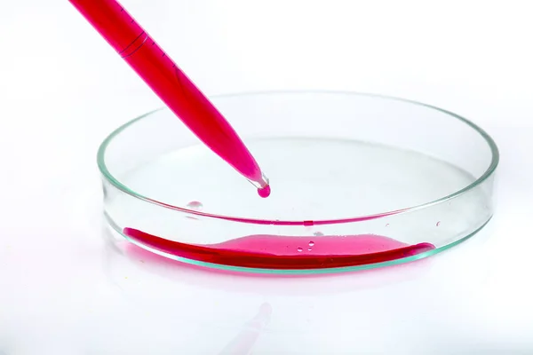 在一个科学研究实验室进行的生物技术实验中 在培养皿上滴红色液体并涂上受感染细菌生长污染的红色生物分析液的实验动物 — 图库照片