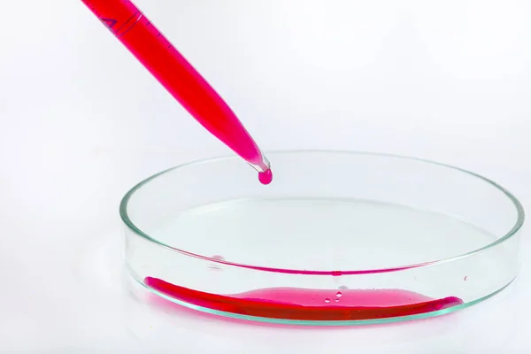 Laboratoriumpipet Met Druppel Rode Vloeistof Petrischaaltjes Met Rode Biologische Analyseoplossing — Stockfoto