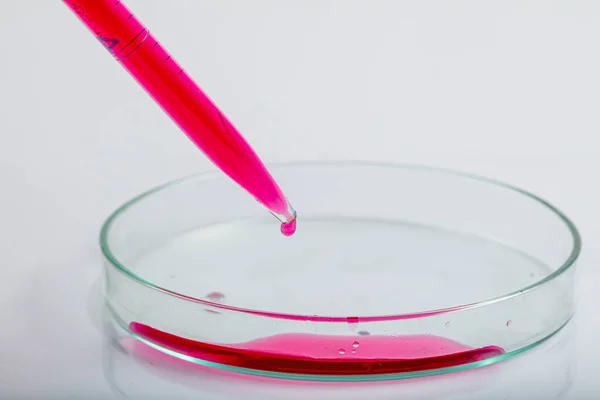 Laborpipette Mit Tropfen Roter Flüssigkeit Über Petrischalen Mit Roter Biologischer — Stockfoto