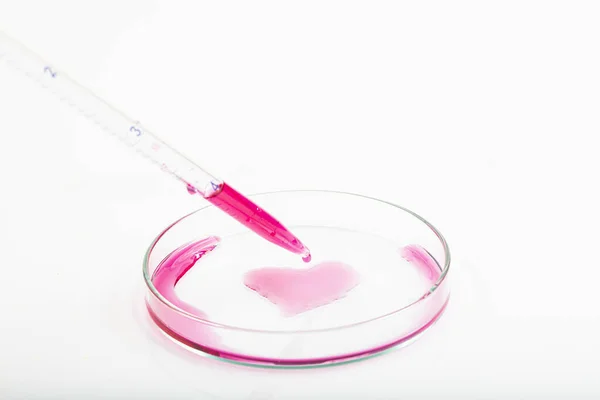 Pipeta Laboratorio Llena Líquido Rojo Solución Química Resultante Placa Petri — Foto de Stock