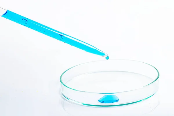 Pipeta Laboratorio Llena Líquido Azul Solución Química Resultante Placa Petri — Foto de Stock