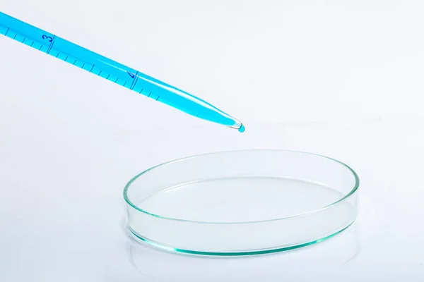 Pipeta Laboratorio Llena Líquido Azul Solución Química Resultante Placa Petri — Foto de Stock