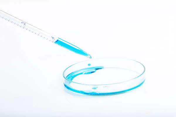 在他的实验室里 实验用的琵琶塞满了蓝色液体 在Petri培养皿上形成了化学溶液 用于生物学实验 培养皿中的蓝色液体 实验室概念 — 图库照片