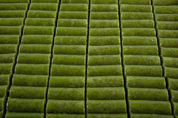 Türkisches Pistazienwickelbaklava Dessert Der Türkische Name Dieser Dessertvariante Ist Fistikli — Stockfoto