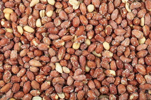  Kızarmış fıstık arka planı. Kızarmış tuzlu fıstığın kusursuz deseni. Yakın plan. Yukarıdan görüntüle.