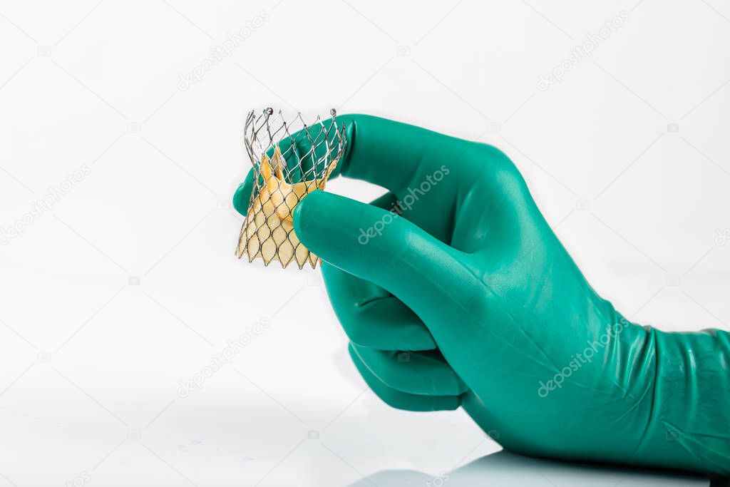 Heart valve surgery cardiology for patient in hospital. Prepare Transcatheter aortic valve implantation in doctor's hand. Isolated on white background.