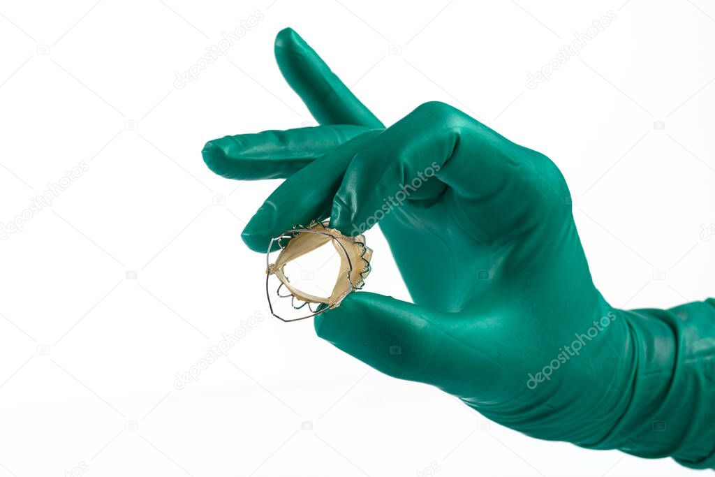 Heart valve surgery cardiology for patient in hospital. Prepare Transcatheter aortic valve implantation in doctor's hand. Isolated on white background.