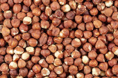 Fındık fotoğrafı. Fındık kadar sağlıklı organik kahverengi filbert sonbahar arka plan konsepti. Gıda arkaplanı.
