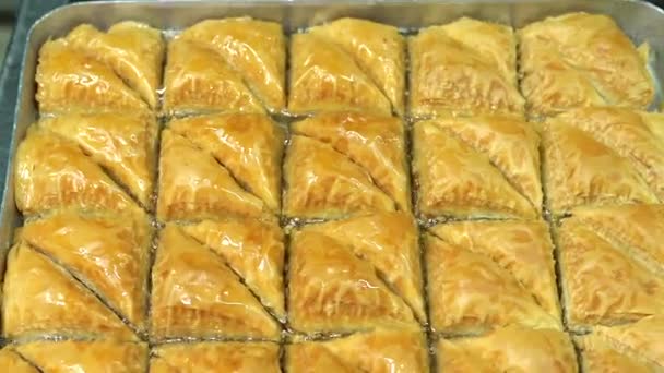 Verter Jarabe Baklava Verter Jarabe Dulce Baklava Turca Con Pistacho — Vídeos de Stock