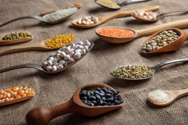 Vegan protein kaynağı. Çeşitli baklagiller, mercimek, nohut ve fasulye çeşitleri tahta masada farklı kaşıklarda. en üstteki görünüm.