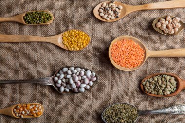 Vegan protein kaynağı. Çeşitli baklagiller, mercimek, nohut ve fasulye çeşitleri tahta masada farklı kaşıklarda. en üstteki görünüm.