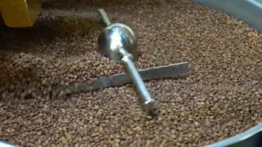 Kavrulmuş kahve çekirdekleri soğutucudan düşer. Arabika fasulyeleri dökülür ve döndürülürler. Endüstriyel kızartma ve üretim, kahve endüstrisi. Yakından bakınca, kahverengi taneler paketlere doldurulmak için dökülüyor..
