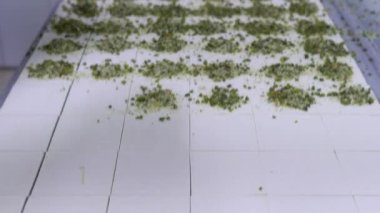 Şef, Ceviz Baklava Baklava tatlı hazırlama aşamaları yapıyor. Şef geleneksel Baklava tatlısı yapıyor. Türkçe adı: Sobiyet. Video.