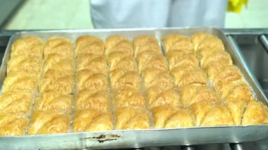 Baklava 'nın üzerine şurup döküyorum. Türk Baklava 'sına yeşil şam fıstıklı tatlı, katmanlı pastalı tatlı, doğranmış fındıkla dolu, şurup veya balla tatlandırılmış.