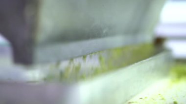 Pistachio Baklava yapıyorum. Baklava tatlı hazırlama aşamaları. Şef geleneksel Baklava tatlısı yapıyor. 4K video.