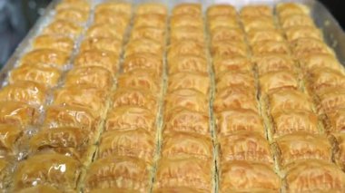 Baklava 'nın üzerine şurup döküyorum. Türk Baklava 'sına yeşil şam fıstıklı tatlı, katmanlı pastalı tatlı, doğranmış fındıkla dolu, şurup veya balla tatlandırılmış.