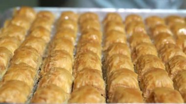 Baklava 'nın üzerine şurup döküyorum. Türk Baklava 'sına yeşil şam fıstıklı tatlı, katmanlı pastalı tatlı, doğranmış fındıkla dolu, şurup veya balla tatlandırılmış.