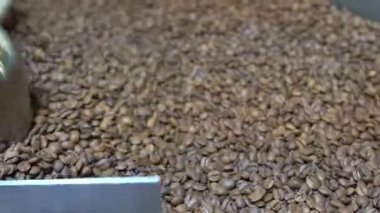 Kavrulmuş kahve çekirdekleri soğutucudan düşer. Arabika fasulyeleri dökülür ve döndürülürler. Endüstriyel kızartma ve üretim, kahve endüstrisi. Yakından bakınca, kahverengi taneler paketlere doldurulmak için dökülüyor..
