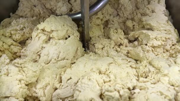 Pasta Hamuru Yapmak Makine Ekmek Hamuru Yoğurur Endüstriyel Fırın Hamur — Stok video