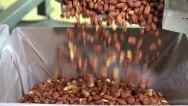 Erdnüsse Rösten Sortierarbeiten Der Erdnussfabrik Produktionslinie Für Geröstete Erdnussverpackungen Produktionsprozess — Stockvideo