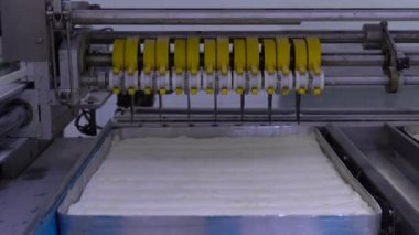 Şef ceviz baklava yapıyor. Baklava tatlı hazırlama aşamaları. Şef geleneksel Baklava tatlısı yapıyor. Video.