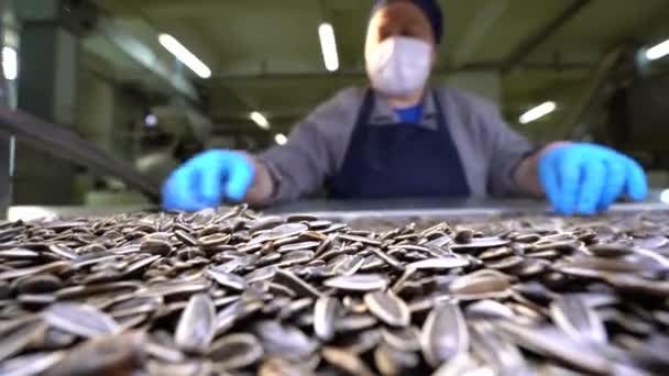 조종하는 기술자는 기계를 제조하는 공장에서 해바라기씨를 포장하기 기계를 시킨다 라인에 — 비디오