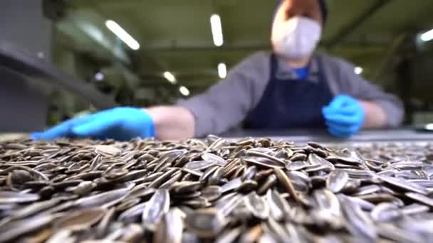 Der Steuerungstechniker Bedient Die Maschine Zum Verpacken Von Sonnenblumenkernen Einer — Stockvideo
