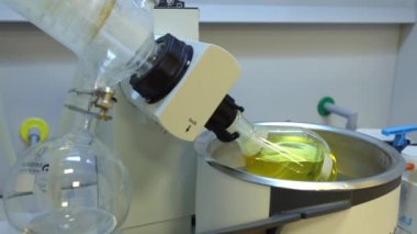 Rotavapor adı tanımlayıcı buharlaştırıcı üzerinde çalışan kimya bilimcisi. Laboratuvardaki deney sırasında buharlaştırıcıyı kontrol eden bilimadamı. Makinenin dönen bir matarası var. Video.