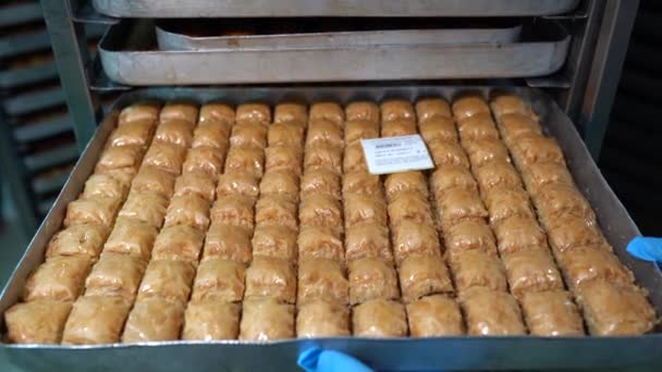 Turkish Dessert Kadayif Dengan Bubuk Pistachio Sebuah Nampan Dari Burma — Stok Video
