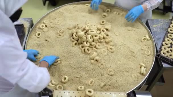 Kandil百吉饼 工人们在食品制造厂的生产线上生产甘迪尔米迪酒 在生产线上 糖蜜倒在面包圈和芝麻条上 土耳其名字 Kandil Simidi — 图库视频影像