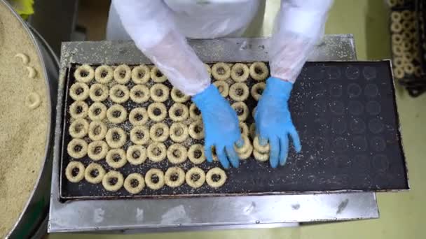 Bagel Kandil Lavoratori Producono Kandil Simidi Sulla Linea Produzione Presso — Video Stock