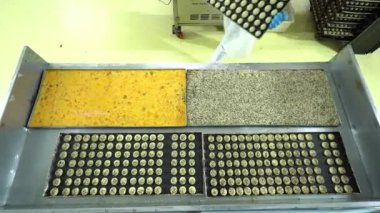 Türkiye, İstanbul - Türk tatlıları üreten gıda fabrikası 