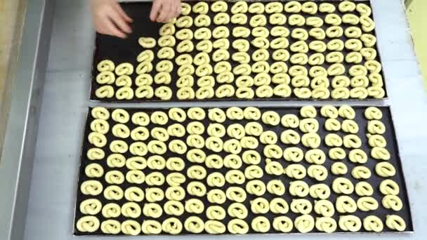 トルコ イスタンブール トルコのお菓子 カンディルバゲルを生産する食品工場 労働者は食品工場の生産ラインでカンジル シミディを生産する — ストック動画
