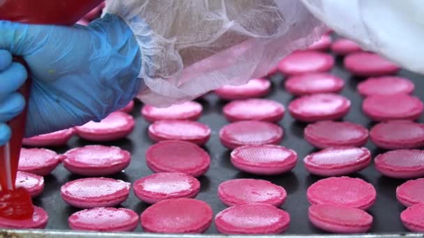 Macarons Maken Proces Van Het Maken Van Macaron Macaroon Frans — Stockvideo