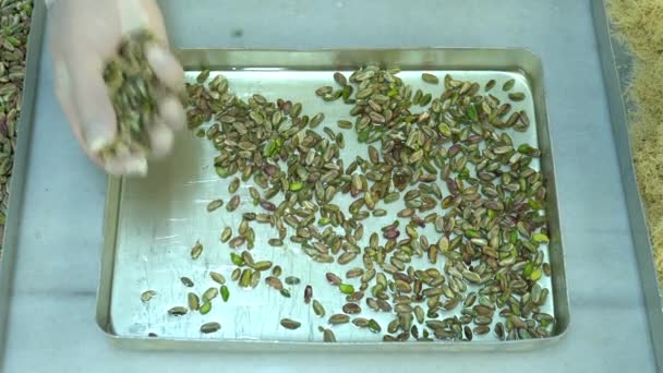 Turquía Estambul Fábrica Alimentos Produce Dulces Turcos Postre Pistacho Kadaif — Vídeos de Stock