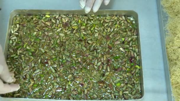 Turecko Istanbul Potravinářská Továrna Vyrábějící Turecké Sladkosti Dezert Pistachio Kadaif — Stock video