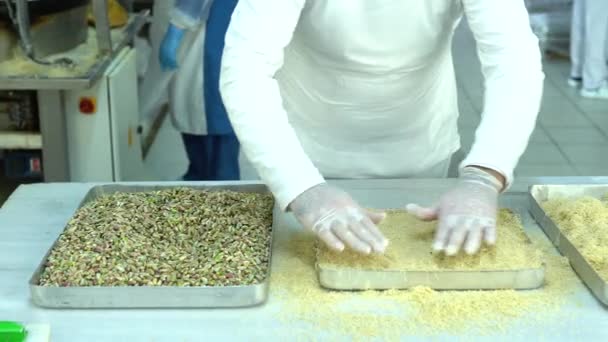 トルコ イスタンブール トルコのお菓子を生産する食品工場 Walnutsでカダイフを詰めました 伝統的なトルコ料理の素晴らしいデザートの1つであるクルミとビルマ カダイフ 地域名 Erzurum Dolma Kadayif — ストック動画