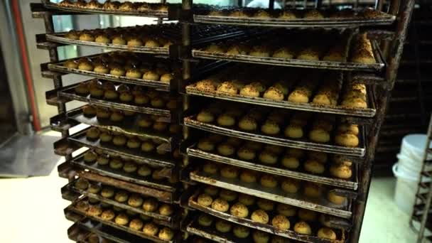 トルコ イスタンブール トルコのお菓子を生産する食品工場 — ストック動画
