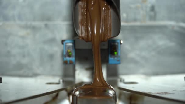 Linha Produção Automatizada Pralines Chocolate Uma Fábrica Diferentes Tons Sabores — Vídeo de Stock