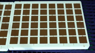 Bir fabrikada otomatikleştirilmiş çikolatalı pralin üretimi. Taşıyıcı banttaki çikolataların farklı tonları ve tatları toplanmaya hazırdır. Kusursuz döngü animasyonu. 4K HD