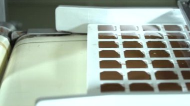 Bir fabrikada otomatikleştirilmiş çikolatalı pralin üretimi. Taşıyıcı banttaki çikolataların farklı tonları ve tatları toplanmaya hazırdır. Kusursuz döngü animasyonu. 4K HD