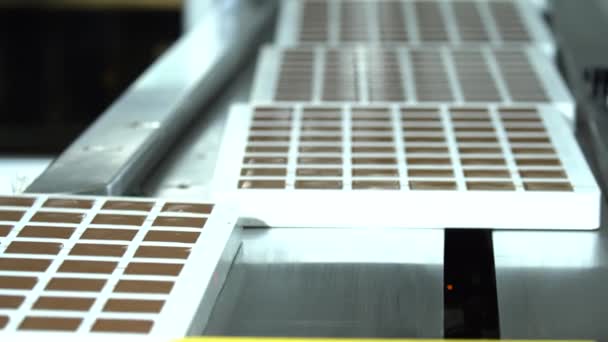 Linea Produzione Automatizzata Praline Cioccolato Una Fabbrica Diverse Tonalità Sapori — Video Stock