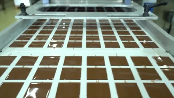 工場内のチョコレートプラリネの自動生産ライン コンベアベルト上のチョコレートのさまざまな色合いや風味が配置され 梱包の準備ができています シームレスなループアニメーション — ストック動画