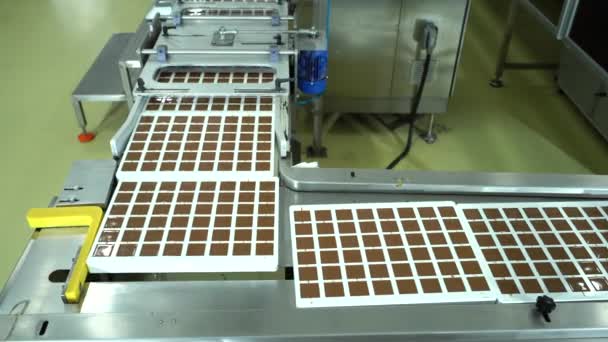 Automatisierte Produktion Von Schokoladenpralinen Einer Fabrik Verschiedene Farbtöne Und Geschmacksrichtungen — Stockvideo