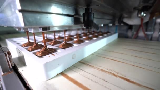 Bir Fabrikada Otomatikleştirilmiş Çikolatalı Pralin Üretimi Taşıyıcı Banttaki Çikolataların Farklı — Stok video
