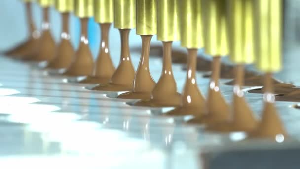 工厂里巧克力梨树的自动化生产线 输送带上的巧克力的不同色泽和味道被安排好并准备好包装 无缝线动画 — 图库视频影像