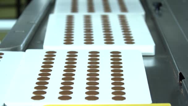 Bir Fabrikada Otomatikleştirilmiş Çikolatalı Pralin Üretimi Taşıyıcı Banttaki Çikolataların Farklı — Stok video