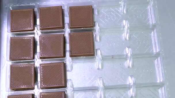 Produk Produksi Otomatis Praline Coklat Sebuah Pabrik Warna Yang Berbeda — Stok Video