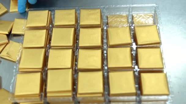Filas Coberturas Para Chocolates Fabricados Por Máquina Transportador Una Fábrica — Vídeo de stock